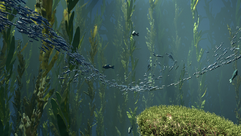 Kelp Forest